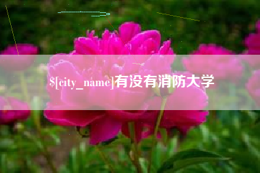 广州有没有消防大学