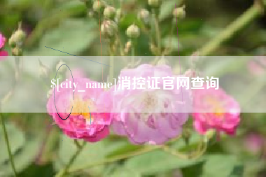 广州消控证官网查询