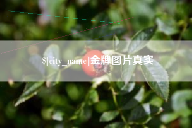 广州金牌图片真实