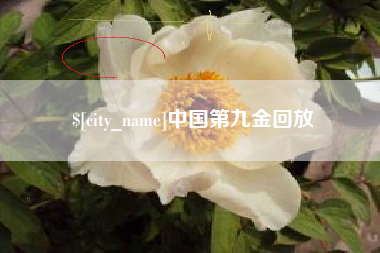 广州中国第九金回放