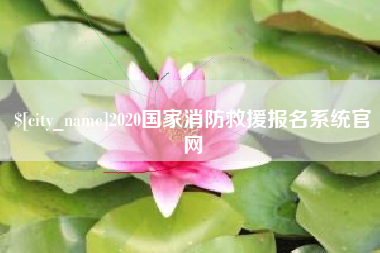 广州2020国家消防救援报名系统官网