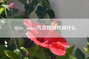 广州九宫格游戏叫什么