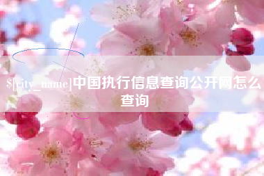 广州中国执行信息查询公开网怎么查询