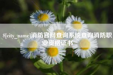 广州消防官网查询系统查询消防职业资格证书
