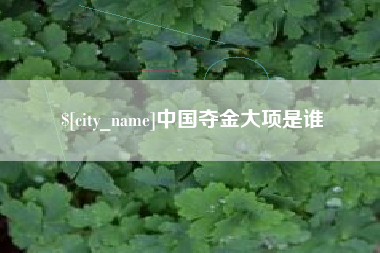 广州中国夺金大项是谁