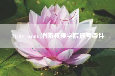 广州消防救援学院报考条件