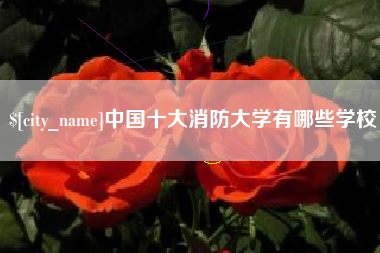 广州中国十大消防大学有哪些学校