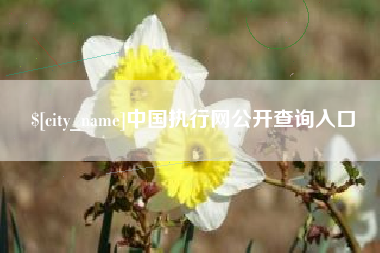 广州中国执行网公开查询入口
