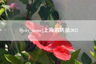 广州上海消防员2021