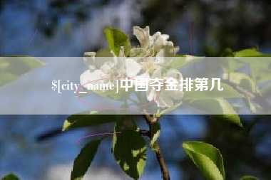 广州中国夺金排第几