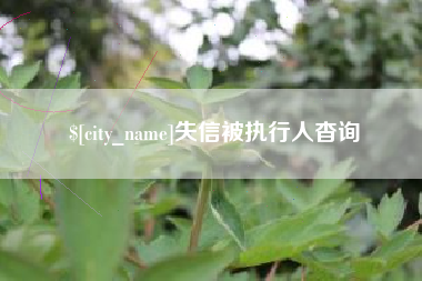 广州失信被执行人杳询