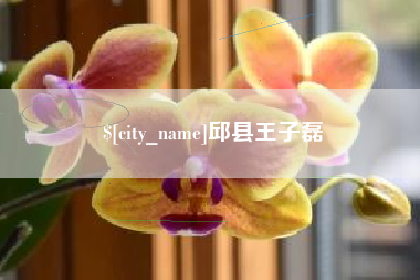 广州邱县王子磊