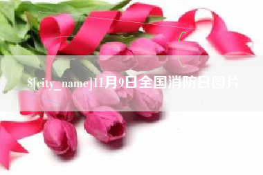 广州11月9日全国消防日图片