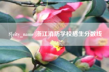 广州浙江消防学校招生分数线