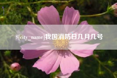 广州我国消防日几月几号