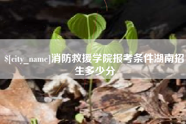 广州消防救援学院报考条件湖南招生多少分