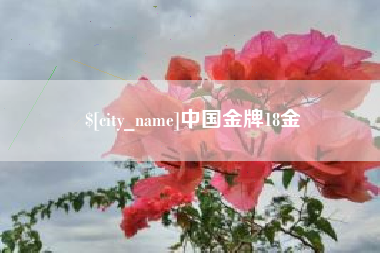 广州中国金牌18金