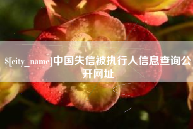 广州中国失信被执行人信息查询公开网址