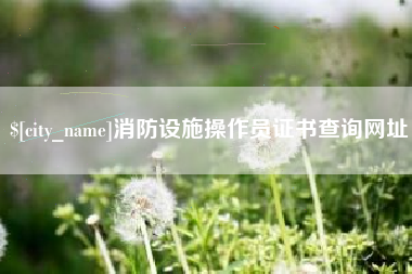 广州消防设施操作员证书查询网址