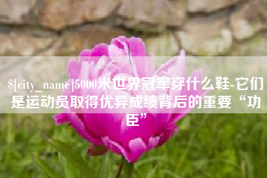 广州5000米世界冠军穿什么鞋-它们是运动员取得优异成绩背后的重要“功臣”