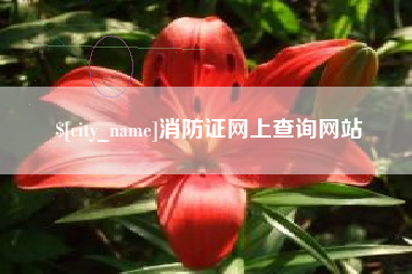广州消防证网上查询网站