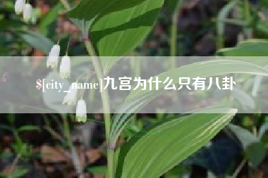 广州九宫为什么只有八卦
