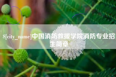 广州中国消防救援学院消防专业招生简章