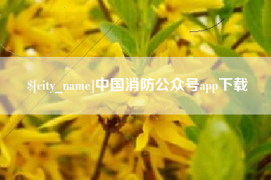 广州中国消防公众号app下载