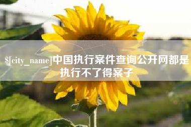 广州中国执行案件查询公开网都是执行不了得案子