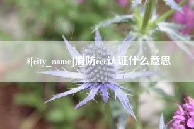广州消防ccc认证什么意思