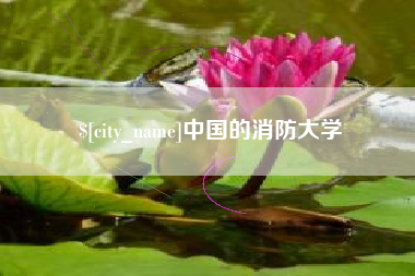 广州中国的消防大学