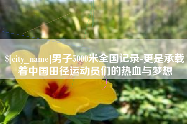 广州男子5000米全国记录-更是承载着中国田径运动员们的热血与梦想