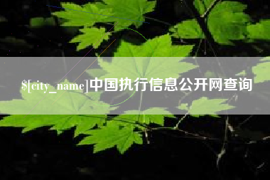 广州中国执行信息公开网查询