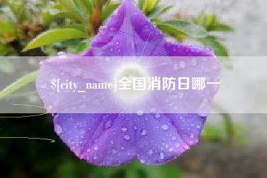 广州全国消防日哪一