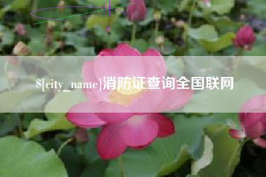 广州消防证查询全国联网