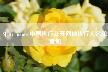 广州中国执行公开网被执行人名单查询