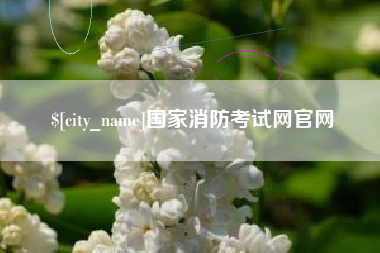 广州国家消防考试网官网