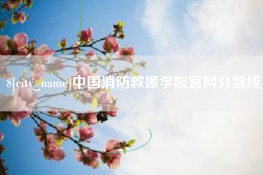 广州中国消防救援学院官网分数线