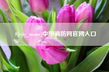 广州中国消防网官网入口