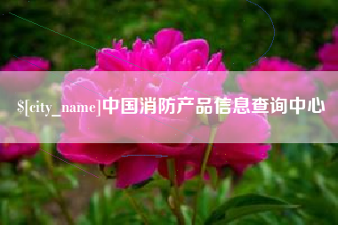 广州中国消防产品信息查询中心