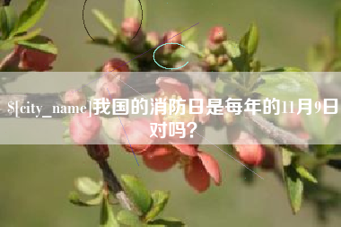 广州我国的消防日是每年的11月9日对吗？