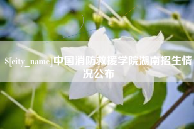 广州中国消防救援学院湖南招生情况公布