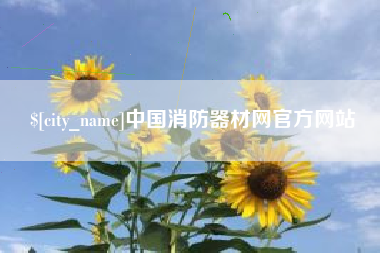 广州中国消防器材网官方网站