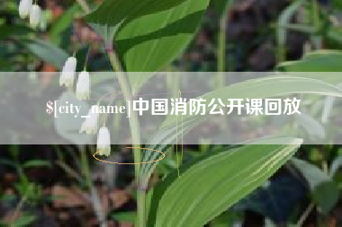 广州中国消防公开课回放