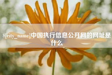 广州中国执行信息公开网的网址是什么