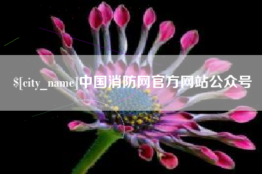 广州中国消防网官方网站公众号