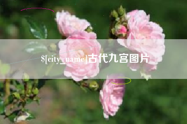 广州古代九宫图片