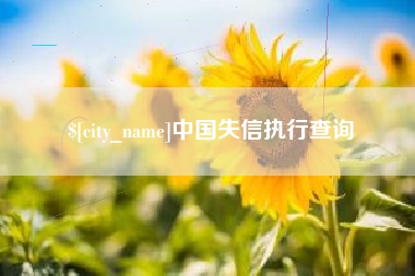 广州中国失信执行查询