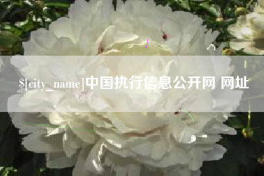 广州中国执行信息公开网 网址