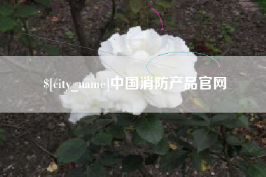 广州中国消防产品官网